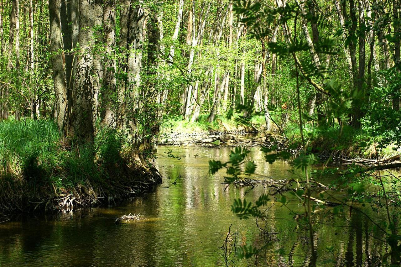 Vila Ferien Am Hegensteinbach Fürstenberg-Havel Exteriér fotografie