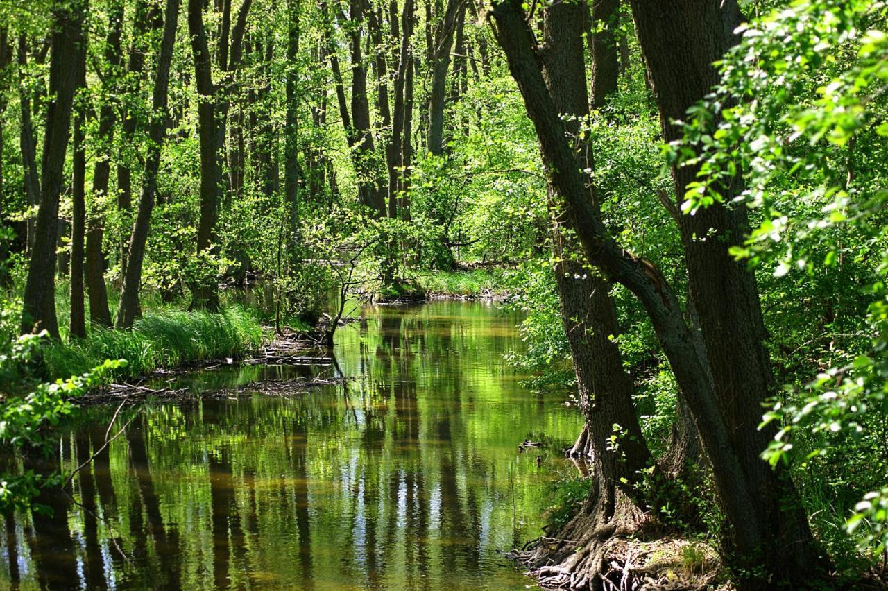Vila Ferien Am Hegensteinbach Fürstenberg-Havel Exteriér fotografie